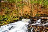Beecher Creek, NY 2021